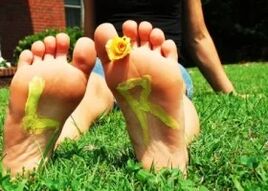 Feet without mushroom with a flower between the fingers